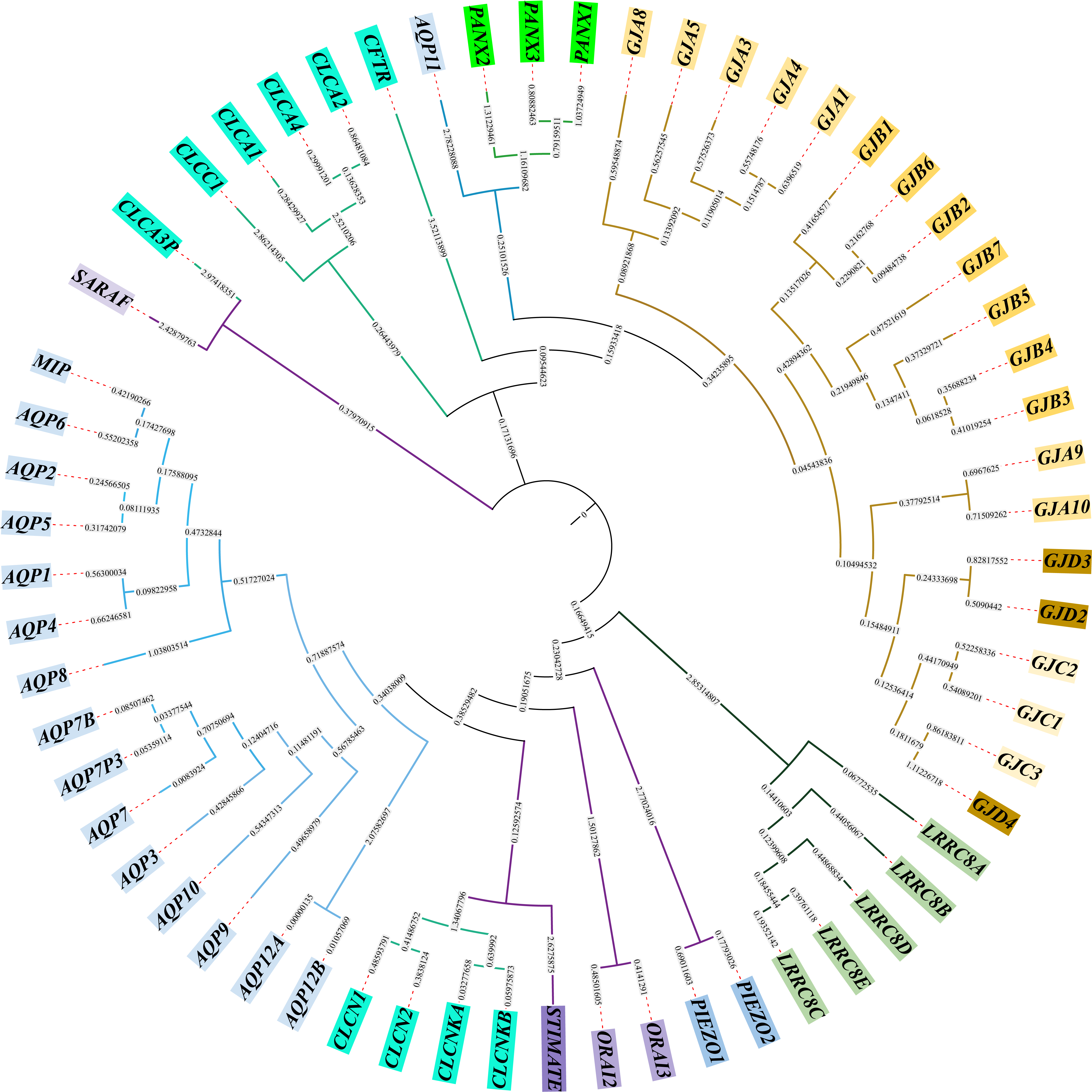 Other ion channels phylogenetic tree